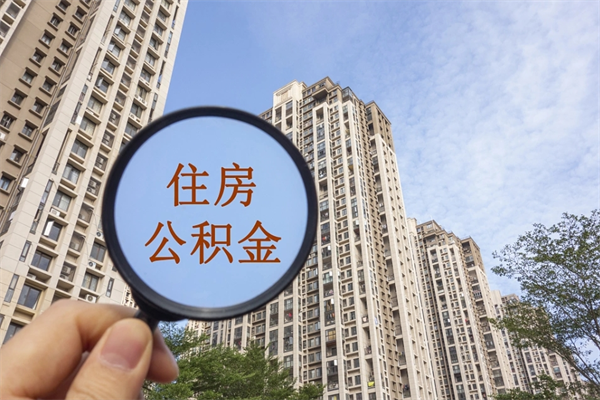 公积金还看征信吗吗_乐陵公积金代办在职离职封存服务